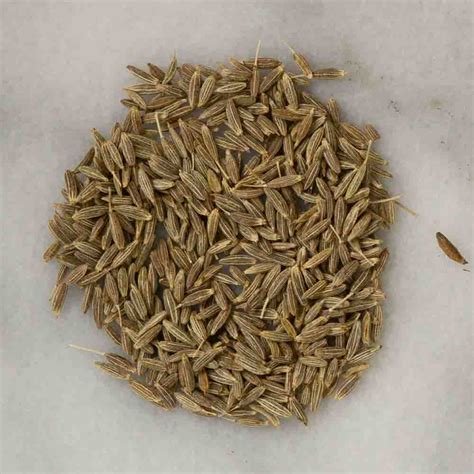 What Happens When Roasting Cumin Seeds - FoodCrumbles