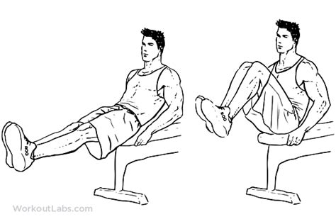 Seated Bench Leg Pull Ins Flat Bench Knee Ups Workoutlabs