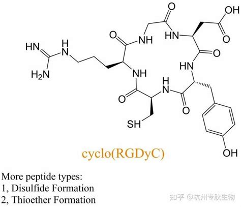 多肽合成与修饰技术服务 知乎