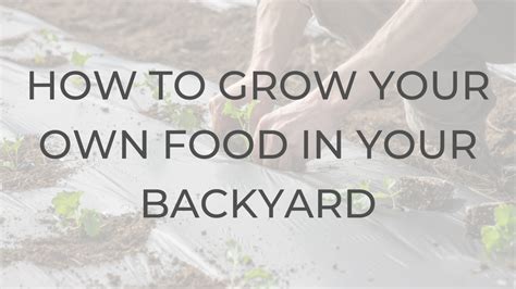 How To Grow Your Own Food In Your Backyard Welch Team