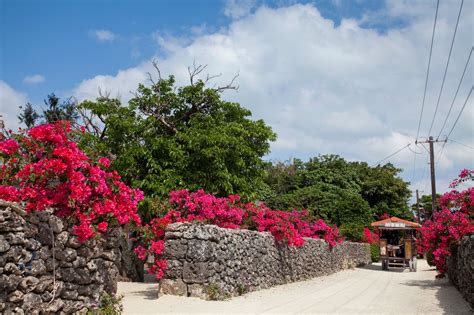 Okinawas Three National Parks