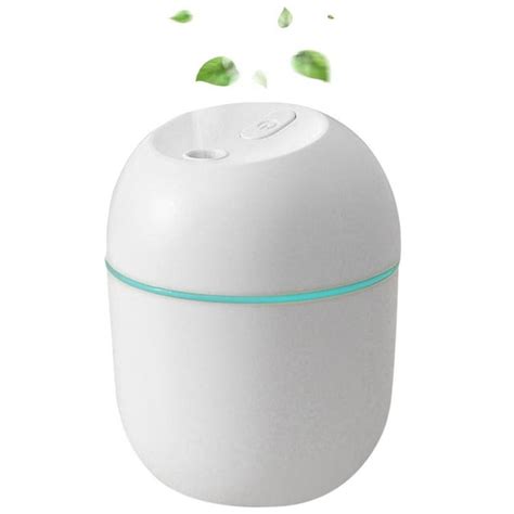 Mini Humidifier, 250ml Small Humidifier for Plants, 2 Cool Mist Mode ...