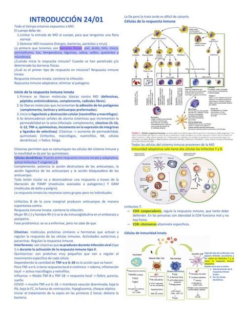 Infectología MEDIKA NOTES uDocz