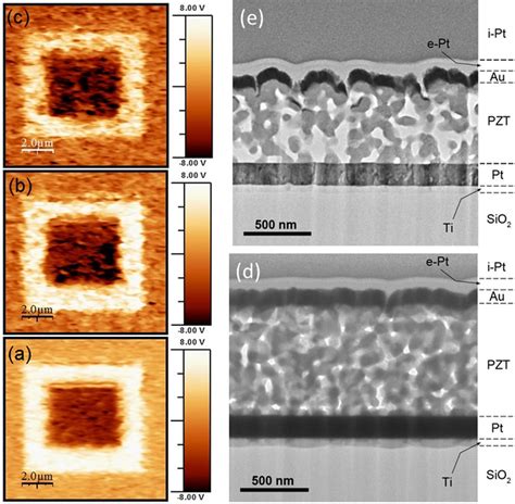 PFM out of plane images 10 Â 10 lm 2 of PZT thin films with Ti