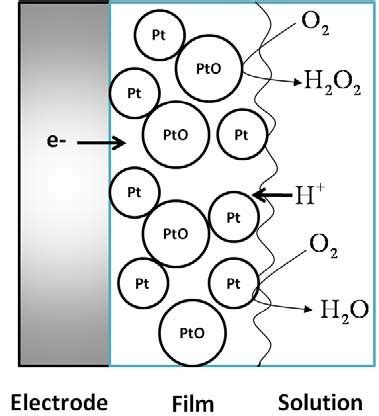 2 Schematic View Of Mechanism Of Dioxygen Reduction At PtO Covered Pt