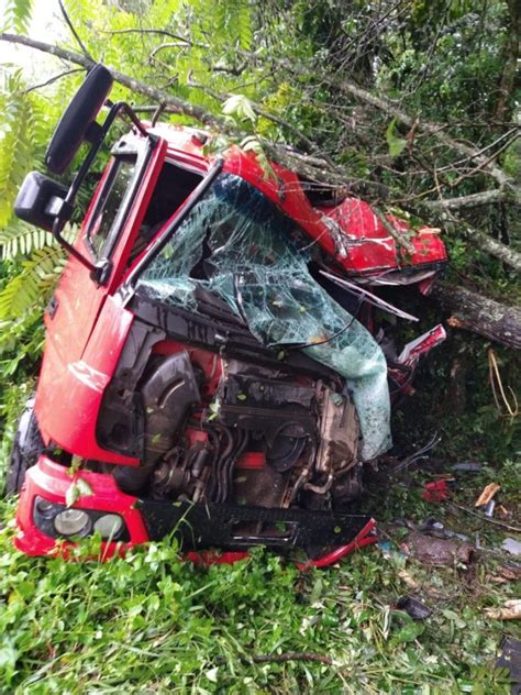 Caminhão sai da pista e batida contra árvore deixa motorista gravemente