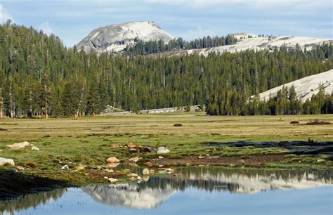 Tuolumne Meadows - Yosemite in Yosemite National Park, California - Kid-friendly Attractions ...