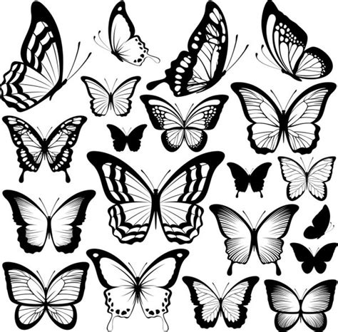 Mariposas Imágenes De Stock De Arte Vectorial Depositphotos