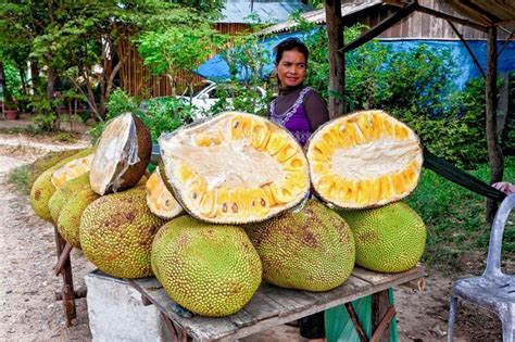 O Durian E Seus Frutos