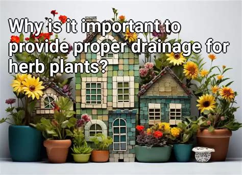 Why Is It Important To Provide Proper Drainage For Herb Plants