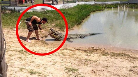 BIZARRE Crocodile Encounters Caught On Camera YouTube