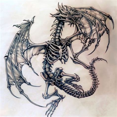 skeleton vector tattoo designs   dragon tattoo skeleton