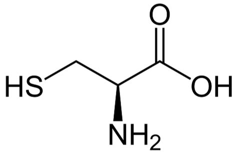 L Cysteine At Rs 1000 Kg L Cysteine In Mumbai ID 21831408288