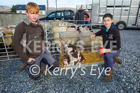 Castlemaine Fair Kerry S Eye Photo Sales