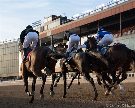 Hawthorne Race Course – November 2016 – Colin JX Hope