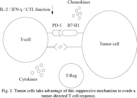 Figure 1 from The Mechanism of Cell Migration | Semantic Scholar