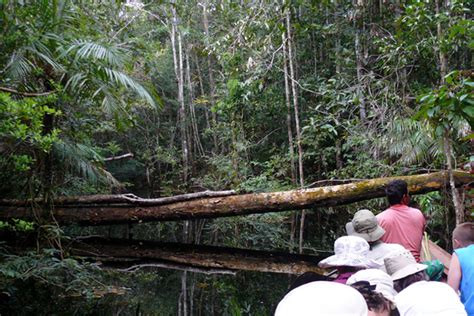 Amazon Rainforest Tour Featuring Manaus Anavilhanas Jaú National Park