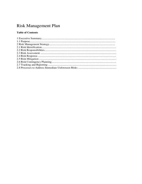 Sample Risk Management Plan Template Free Download