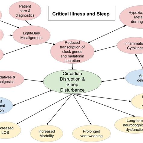 Schematic Representation Of Interplay Between Critical Illness And