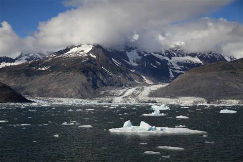 Bering Glacier Stock Photos, Pictures & Royalty-Free Images - iStock