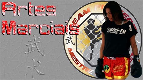 Sanda Boxe Chinês Feminina Sanshou Kung Fu Sanda 散打 literalmente