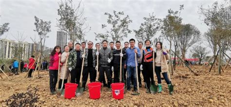 新春添新绿 春节植树忙 ——市莲花山保护中心干部职工参加新春义务植树活动柳州莲花山