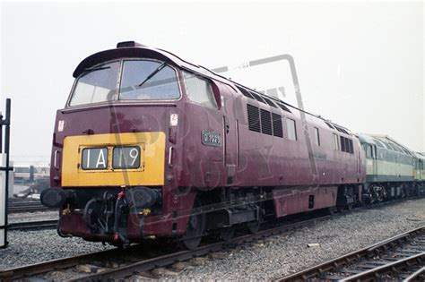 Rail Online Class 52 Western D1023 1980 Preserved Didcot