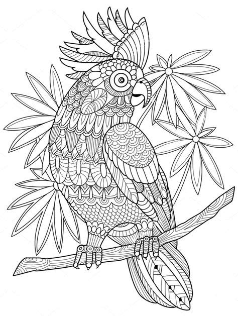 Parrot Zentangle Coloring Page Mandala Coloring Pages Parrots Art