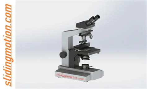 Complete Guide On 16 Essential Microscope Parts Labled Diagram