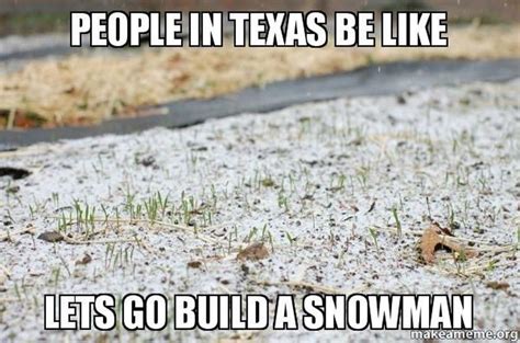 Hilarious 2023 Texas Winter Memes Including Ted Cruz - Lola Lambchops