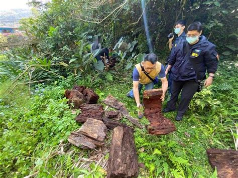 山老鼠偽裝登山客通報山難 「這物」露餡集團遭搗破 社會 中時