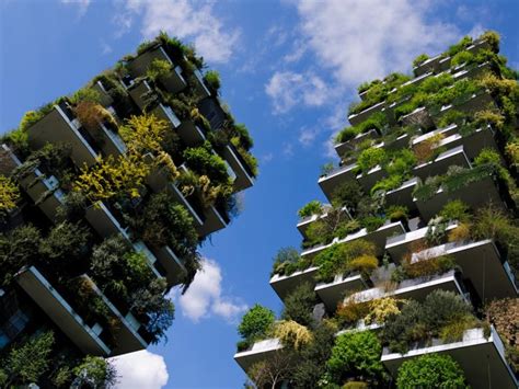 Is That Expensive Forest Worth Millions? You Won’t Believe It - Veja Store Site