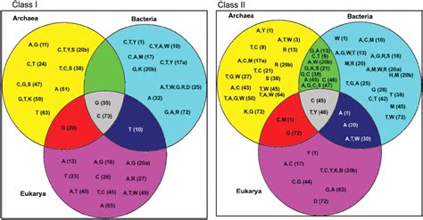 Bacteria Vs Archaea Venn Diagram Archaea Vs Bacteria Wha