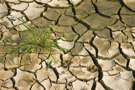 Terra Inf Rtil Queimada Pelo Sol Conceito Da Fome E Da Pobreza Foto De