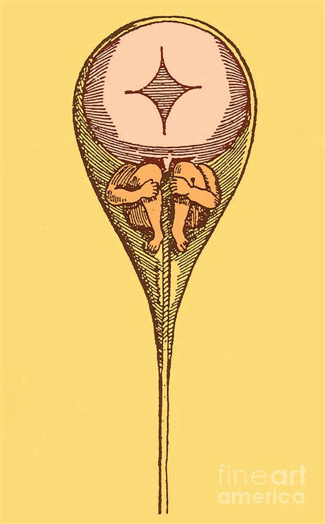 Drawing Of Homunculus, 1694 Photograph by Science Source - Pixels