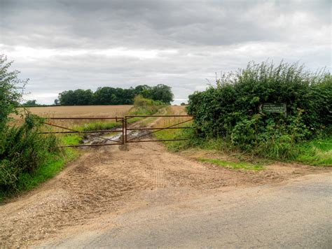 Pithole Plantation Breckland Area Information Map Walks And More