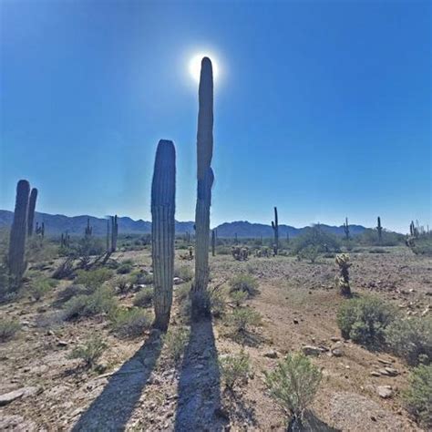 Sonoran Desert National Monument in Gila Bend, AZ (Google Maps)