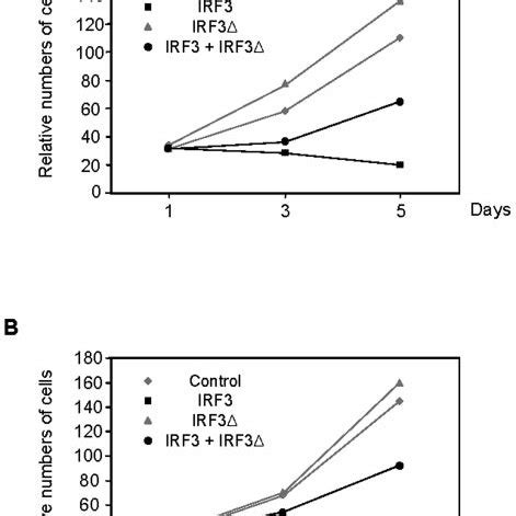 A Dominant Negative Irf Mutant Inhibits Irf Mediated Attenuation Of