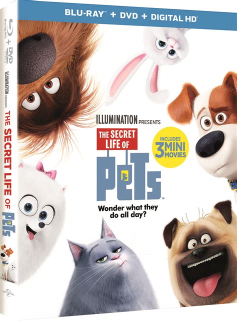 THE SECRET LIFE OF PETS Blu-Ray DVD Giveaway - 5 winners # ...