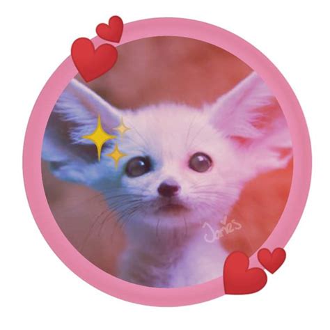 Aesthetic Fennec Fox Pfp Crossovers Amino