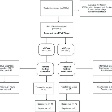 Sepsis Screening Tool Incorporated Into The Triage Software Depicting