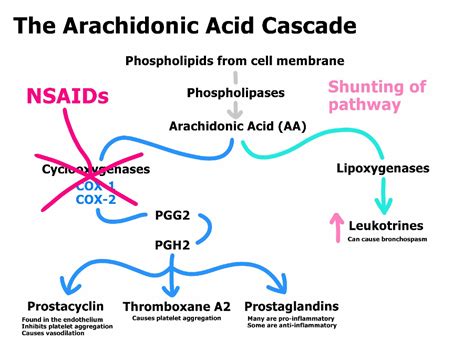 Mechanism Of Action Of Nsaids - IMAGESEE