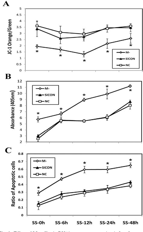 Figure 1 from Suppression of GSK 3β activation by M cadherin protects