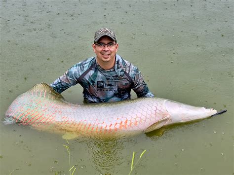 How To Catch Arapaima