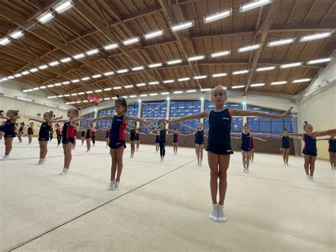 Ковер гимнастический (профессиональный) 4x8м - купить в Москве: цена ...