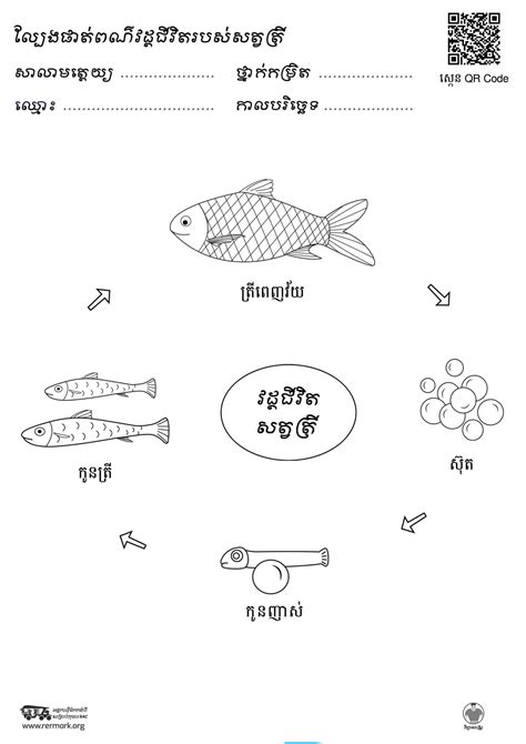 Rermork Digital Library Staging