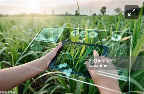 Agricultura De Precisi N C Mo La Tecnolog A Est Transformando La