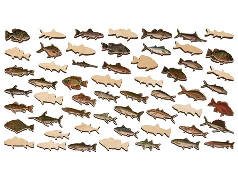 Big Game Fish Wooden Jigsaw Puzzle | Liberty Puzzles