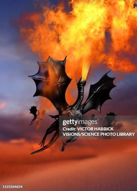 185 Fire Breathing Dragons Stock Photos, High-Res Pictures, and Images - Getty Images