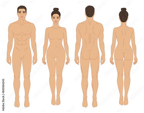 Man And Woman Body Front And Back View Vector Illustration Isolated